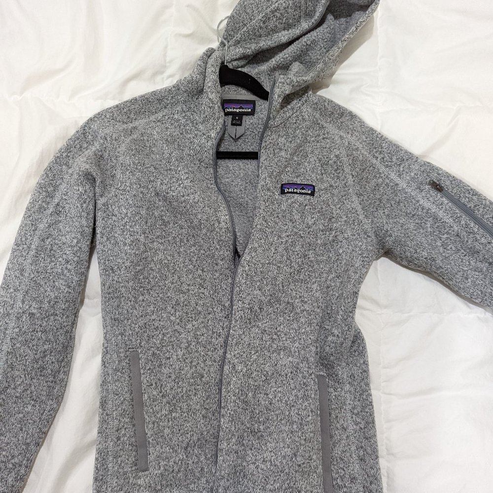 Patagonia Better Sweater Hoodie